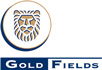 Gold Fields Company Page